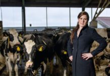 Eke Folkerts: ‘Iets vaker de hakken in het zand zetten’