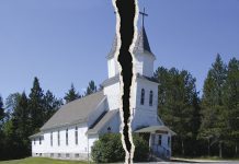 ‘Het landbouwcollectief is stuk en blijft stuk’