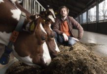 Hidde Boersma: ‘Huidige duurzaamheidsframe deugt niet’