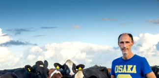 ‘Ik bouw graag zekerheid in’