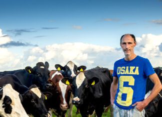 ‘Ik bouw graag zekerheid in’