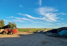 Studiereis naar Portugal in maart 2025 (deze reis is volgeboekt)