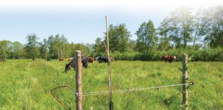Met 7 vinkjes je bedrijf natuurinclusief maken