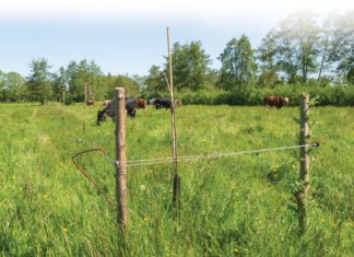 Met 7 vinkjes je bedrijf natuurinclusief maken