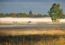 Nederland lijkt verliefd te zijn op natuur