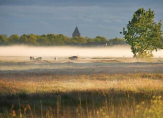 Nederland lijkt verliefd te zijn op natuur