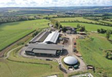 Nederlander verovert Frankrijk met hooimelk