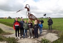 Reuzengrutto op land Friese melkveehouder
