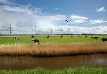 FrieslandCampinaplan lijkt dramatischer dan het is