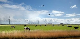 FrieslandCampinaplan lijkt dramatischer dan het is