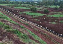 Ga mee op reis naar Brazilië en ondek de kracht en pracht van deze landbouwnatie