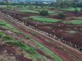 Ga mee op reis naar Brazilië en ondek de kracht en pracht van deze landbouwnatie