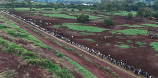 Ga mee op reis naar Brazilië en ondek de kracht en pracht van deze landbouwnatie