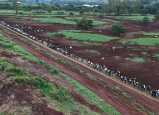 Ga mee op reis naar Brazilië en ondek de kracht en pracht van deze landbouwnatie