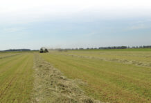 CO₂-opslag in de bodem: wie pakt de poet?