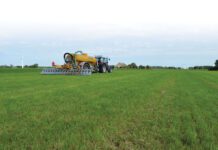 Renure brengt overvolle mestmarkt in 2026 niet in balans