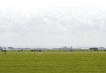 Grondgebonden melkveehouderij: lastig maar logisch
