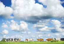 Een beter verdienmodel begint bij jezelf