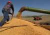 Brazilië: Europa’s ongemakkelijke agrarische partner