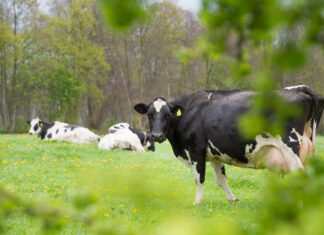 Vrees voor generieke korting staat krimpplan in de weg