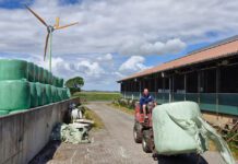 ‘Willie Wortel van Parrega’ houdt bewust minder koeien