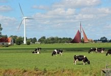 ‘Nederland is toe aan nieuwe manier van landinrichting’