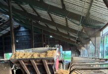 ‘Wij willen 26 miljoen kilo melk leveren met 27 robots’
