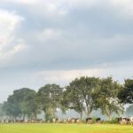 De toonaangevende agrarische natie Nederland