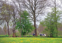 Wegvallen NPLG dwingt tot realiteitszin en verbinding met de economie