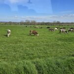 Haal die handrem er nu eens af!