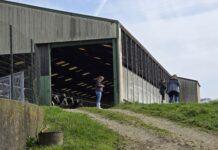 Als God in Frankrijk