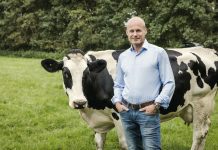 Geert Veenstra: ‘Focus op rendement moet terug’