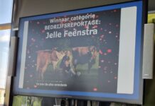 Melk van het Noorden in de prijzen