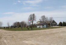 Canadese melkveehouders kunnen Trumps bloed wel drinken