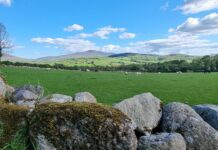 Agrarische reis naar Ierland in juni 2026