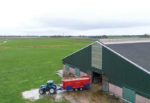 ‘Wij streven naar veel melk per koe en per man’