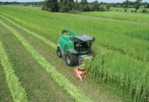 Teelt voor biobased bouw vraagt lef en geduld