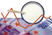 Melkprijs vastzetten op 52 cent: wie durft nog?