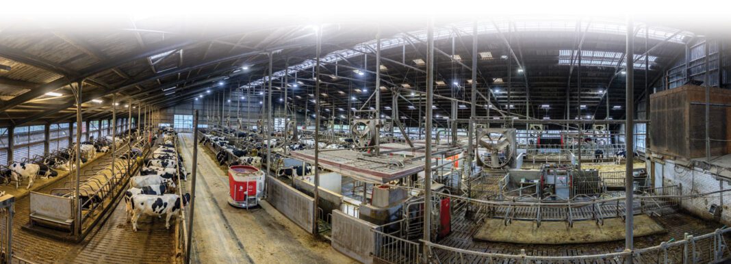 MtsJensma-291125-BinneLouwKatsma-1