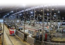 Bewegingsruimte behouden als sleutel naar de toekomst