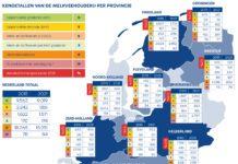 Wordt Noorden het melkmekka van Nederland?