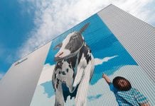 ‘Hou het alsjeblieft publieksvriendelijk’