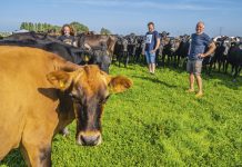 Boeren op z’n Gerrit Vlugs is niet alledaags