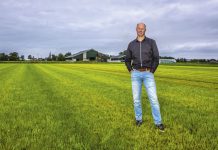 Andries-Jan de Boer: ‘Stijging melkprijs hard nodig’