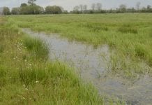 Grondbank voor Fries veenweidegebied in de maak