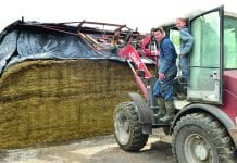 ‘Liever honderden slurven dan één sleufsilo’