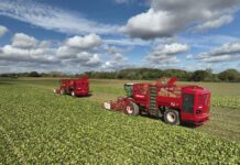 Agro goed voor 14% werk in Noord-Nederland