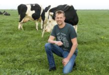 Terug naar alleen gras wordt steeds lucratiever