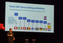 EDF-leden halen inspiratie op in Nederland; ‘Juist omdat jullie in transitie zijn’