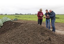 Transitie vraagt meer lef en minder grote woorden